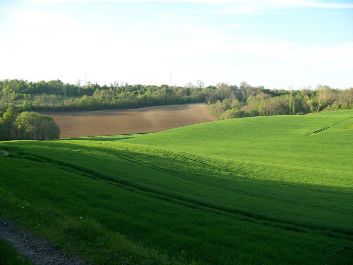 مبيت وإفطار Saint-Pierre-de-Clairac Loustalneou المظهر الخارجي الصورة